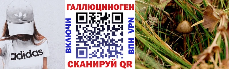 Псилоцибиновые грибы ЛСД  Купить закладки  Купино 